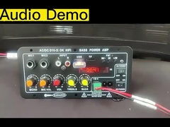 Thang máy khuếch đại D10-II cho 4 Ohm 40W loa 110V 220V 12V 24V Subwoofer Audio Module