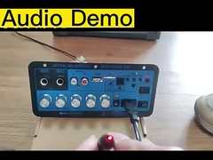 D60 50W Subwoofer Amplifier Board Bluetooth Audio Amplifier với âm thanh quang học 12V24V220V