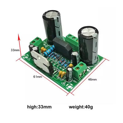 Bảng khuếch đại đơn 100W với nguồn cung cấp điện AC12-32V kép cho 2 kênh