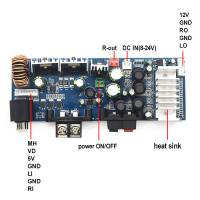 CA-3116AS Professional 2.0 Digital Subwoofer Amplifier Board Mini 8-24V 2*100W cho sử dụng âm thanh gia đình 12V TPA3116