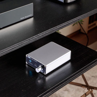 Tpa3116D2 2 kênh 60W * 2 cho bộ khuếch đại gia dụng cho gia đình High Power Digital Audio Board Core Technology Audio Voice Control Modules